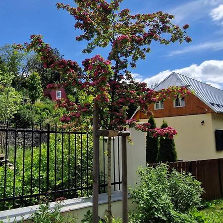 Siglisberg Villa Banská Štiavnica Buitenkant foto
