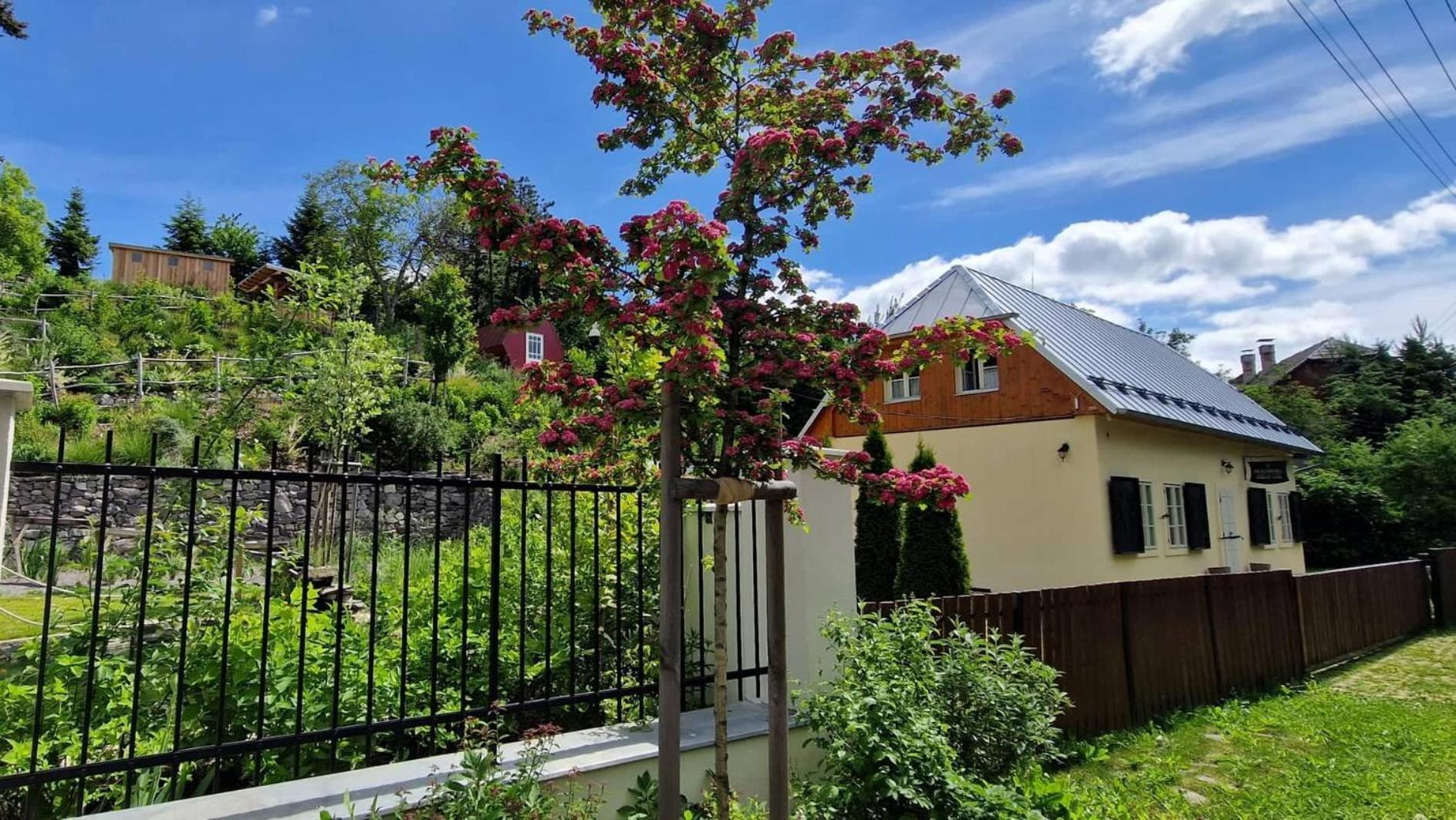 Siglisberg Villa Banská Štiavnica Buitenkant foto
